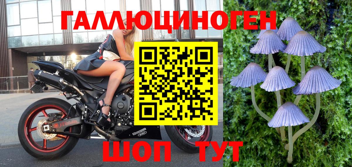 Псилоцибиновые грибы GOLDEN TEACHER Михайловск