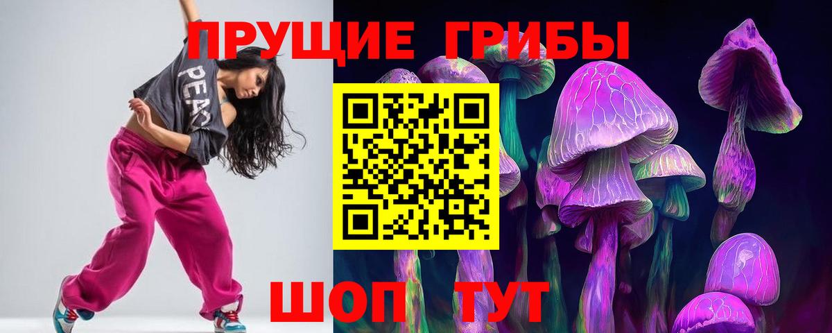 Псилоцибиновые грибы Psilocybe  Галлюциногенные грибы Magic Shrooms  Вход с VPN  Михайловск 